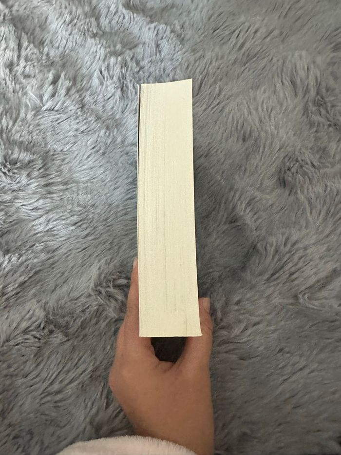 Livre italian mafia - photo numéro 4