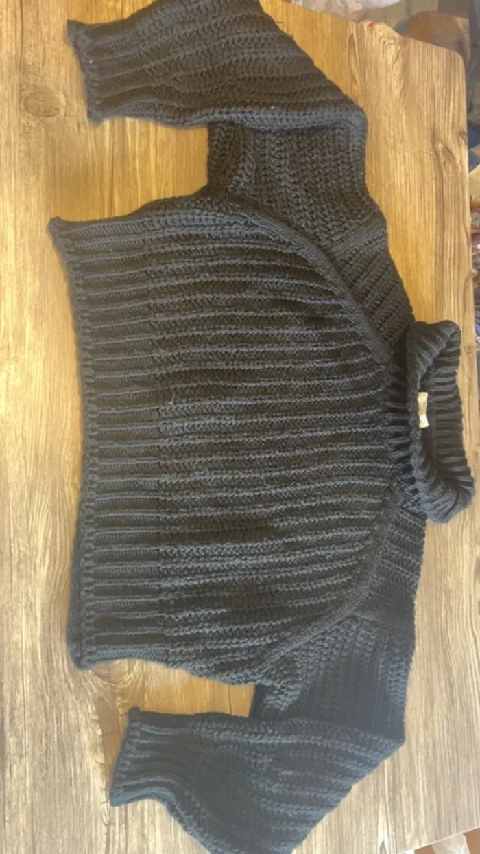 Pull col roulé épais M
