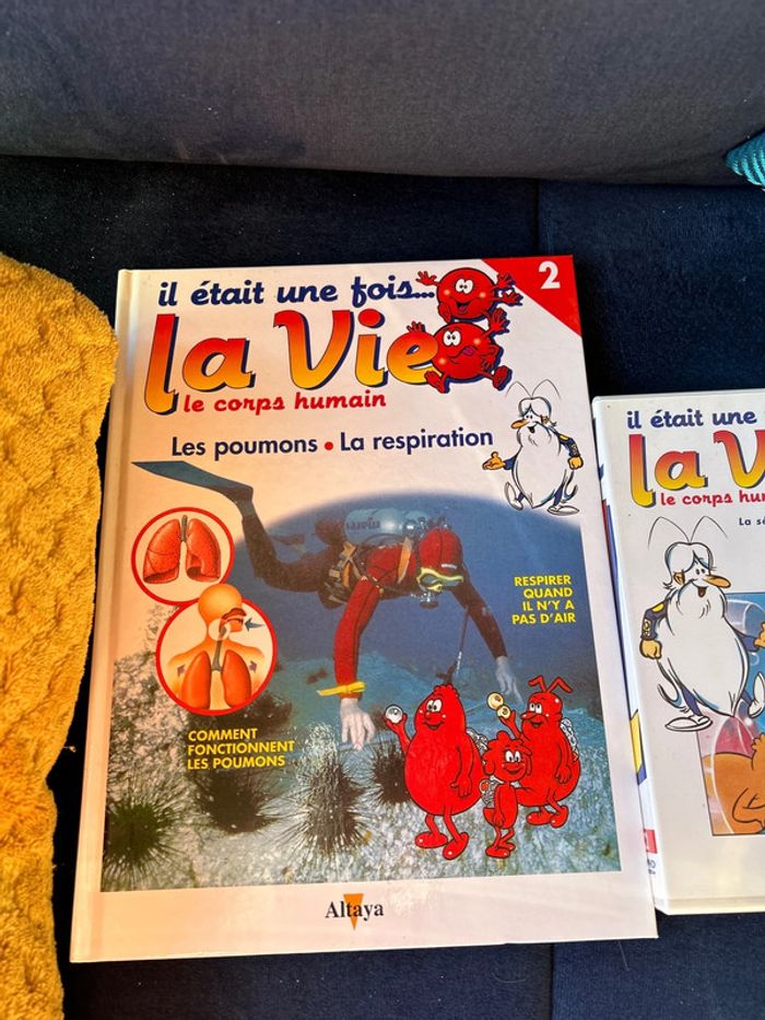 Livre et dvd numéro 2 collection la vie le corps humain - photo numéro 2