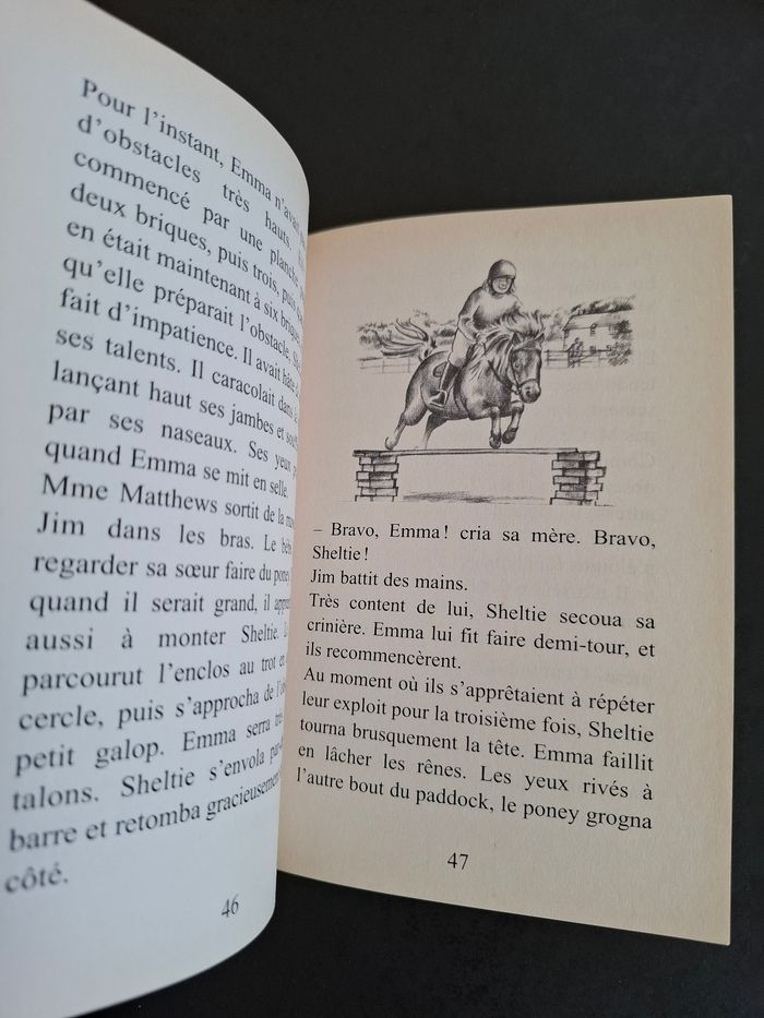 Lot de 3 livres Sheltie de Peter Clover en bon état - photo numéro 5