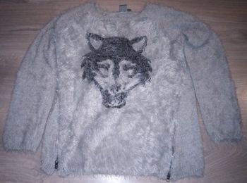 Pull  loup 12 ans