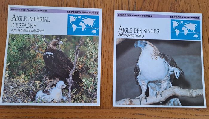 2 fiches éditions Atlas sur l'aigle