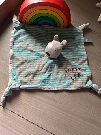 Doudou  orchestra chien Super Léo