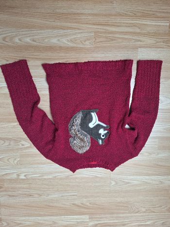 Pull TISSAIA 10 ans rouge