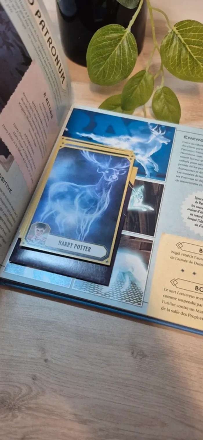 Livre harry potter - photo numéro 4