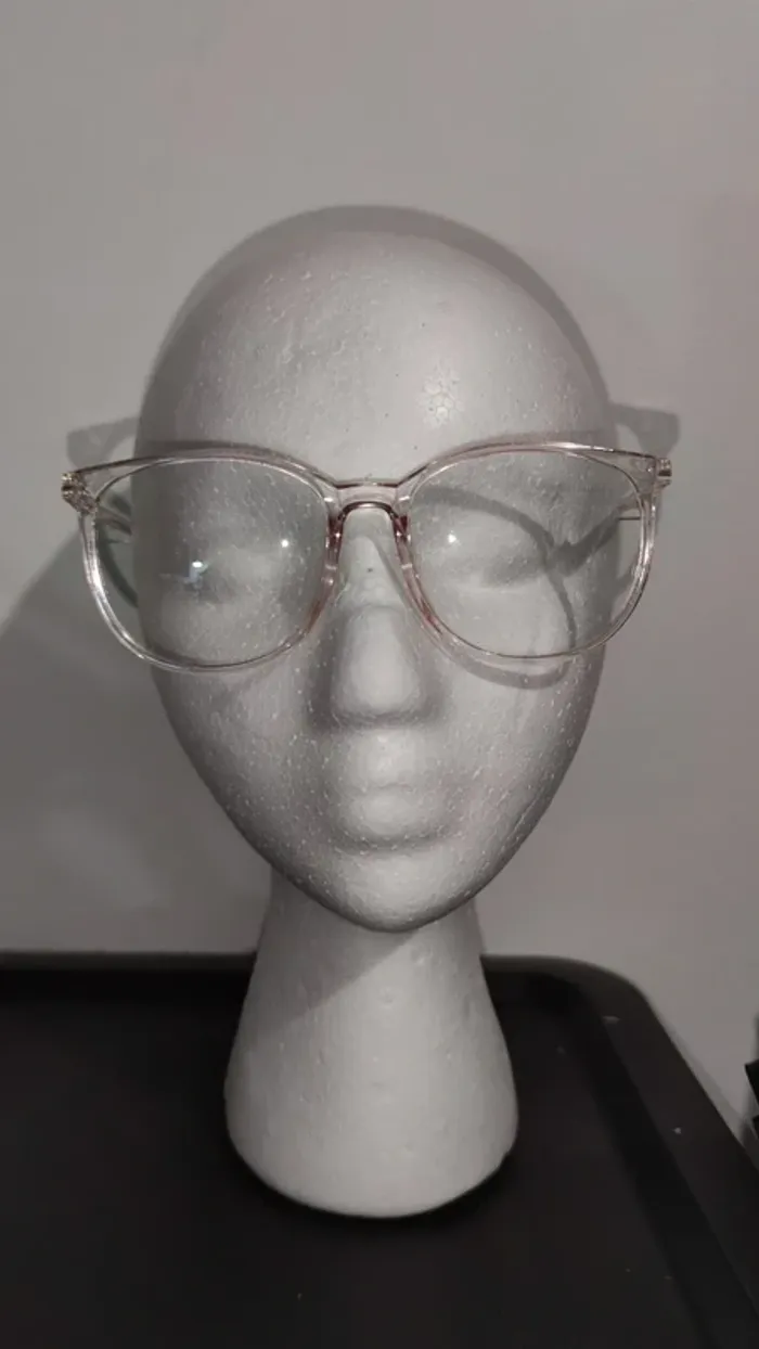 lunettes fantaisies en plastique