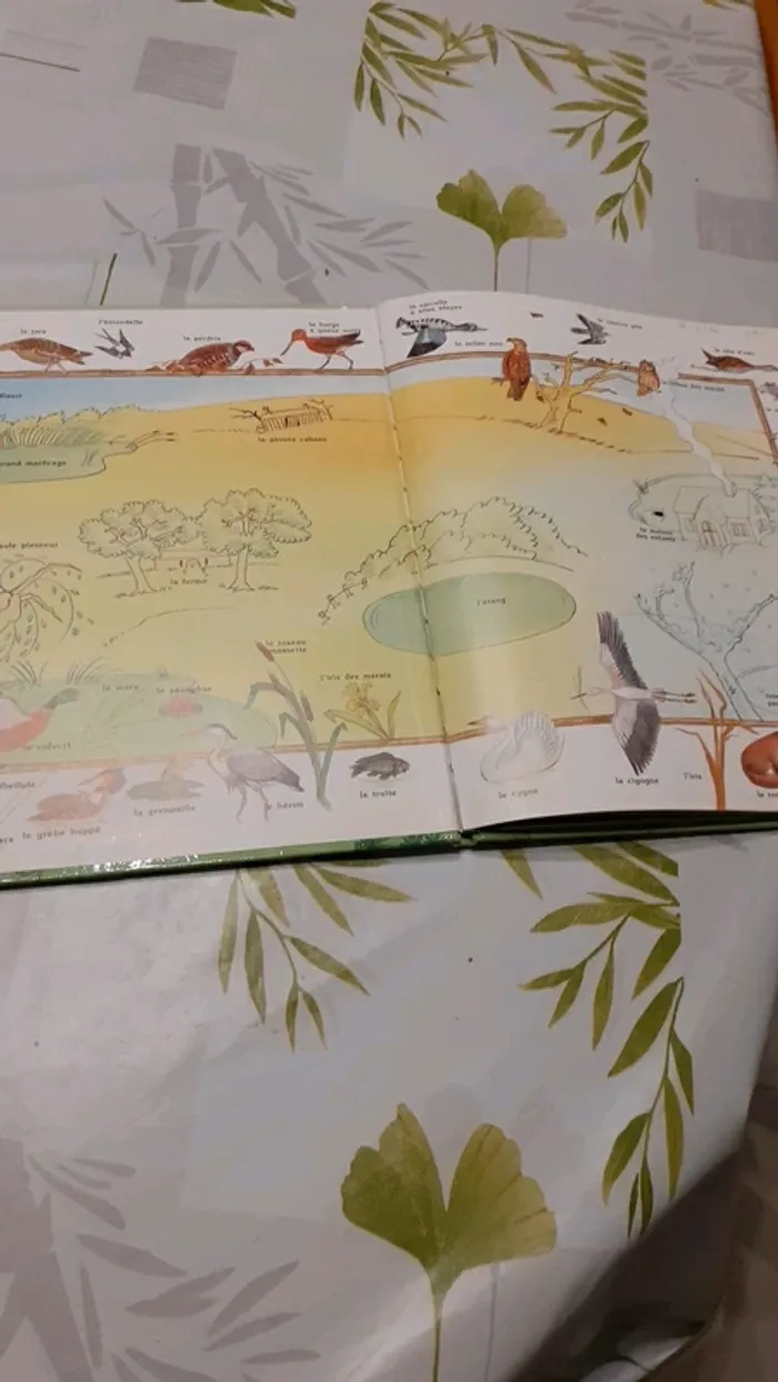 Livre - photo numéro 3