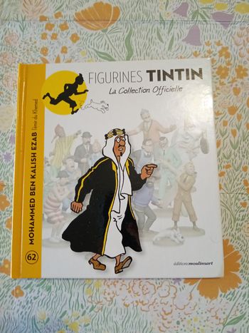 Livre tintin 