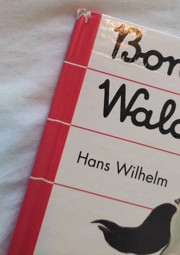 Livre pour enfants Bonne idée Waldo. - photo numéro 2