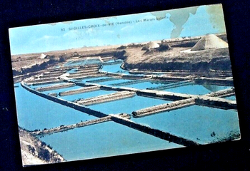 Carte postale ancienne Saint-Gilles-Croix-de-Vie