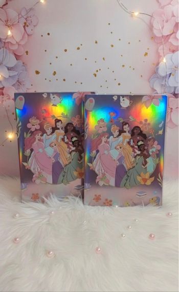 Lot 2 Grandes Cartes Disney Princesses - Holographiques & Neuves