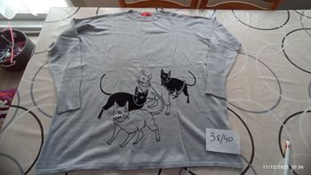 Pull tunique chat 38/40