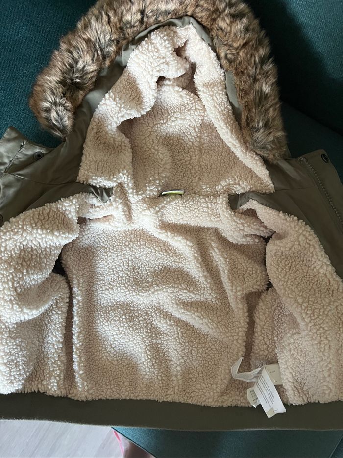 Manteau - photo numéro 2