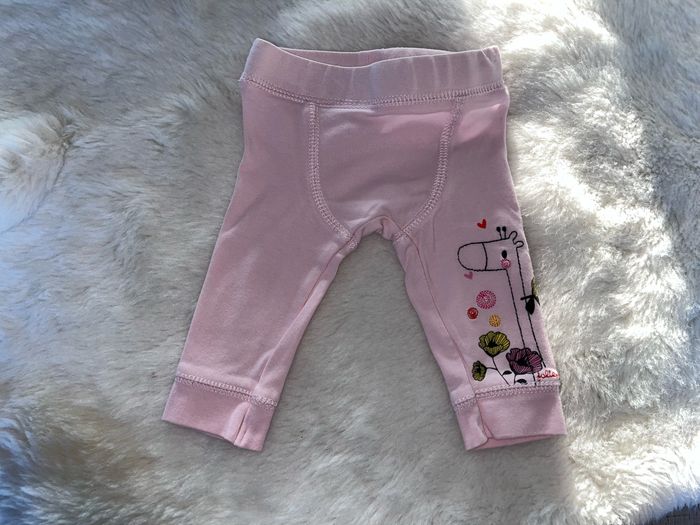 Ensemble - photo numéro 7