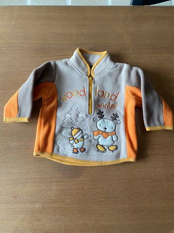 Pull polaire