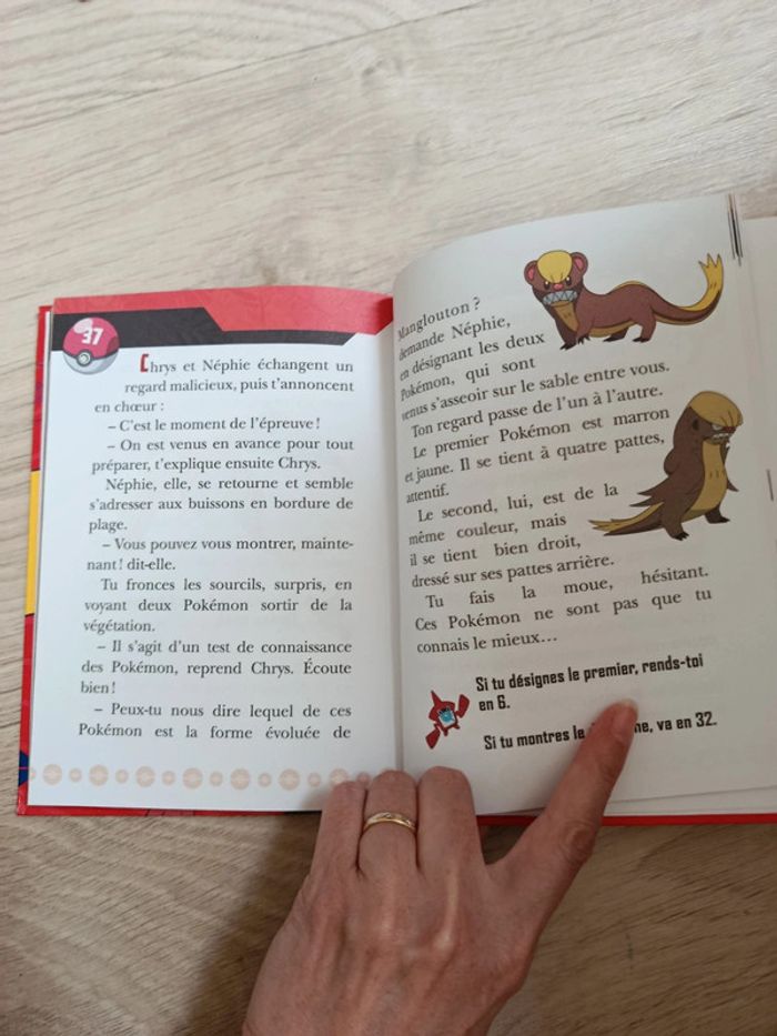 Pokémon c'est toi le héros - photo numéro 3