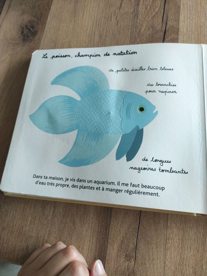 Livre : Mes animaux familiers à toucher - photo numéro 13