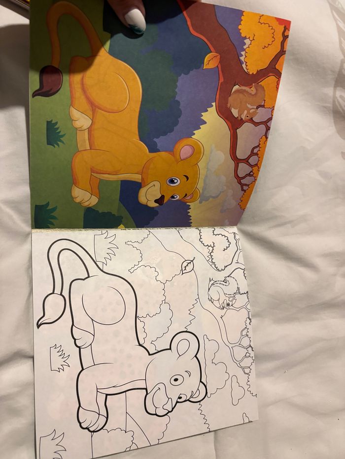 Petit livre de coloriage animaux neuf - photo numéro 3