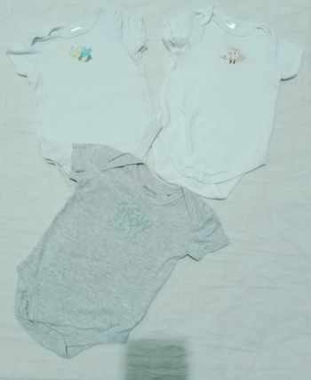 Lot 3 bodys bodies c&a lupilu 6 mois