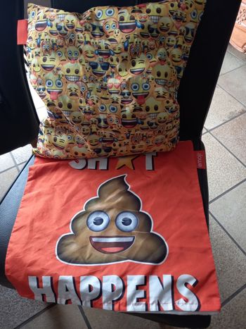 Coussin avec une 2em taie