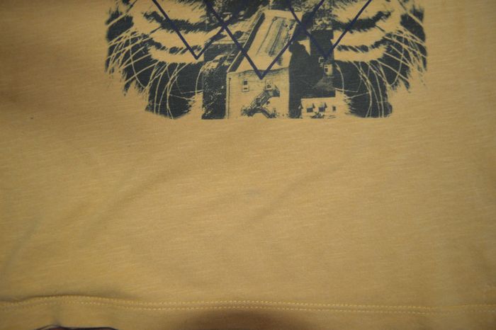 Tee shirt manches longues Zara boys 5 ans - photo numéro 2