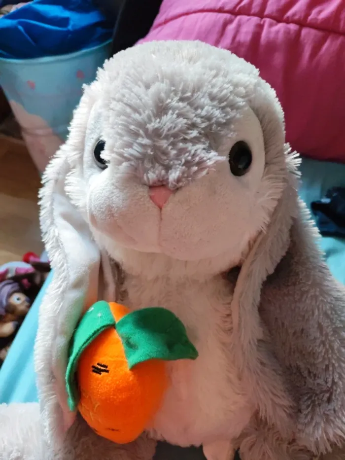 Peluche lapin - photo numéro 2