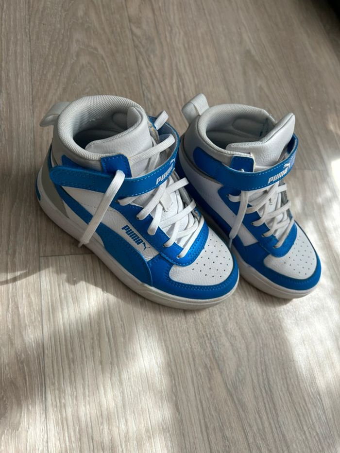 Puma bleu montante - photo numéro 3