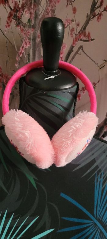 Cache oreille Reine des neige