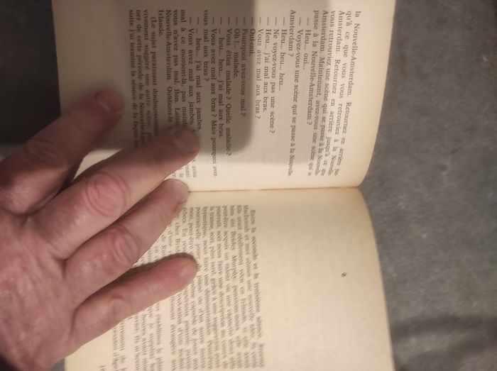 A la recherche de Bridey Murphy Morey Bernstein - J'ai Lu l'Aventure Mystérieuse - photo numéro 4