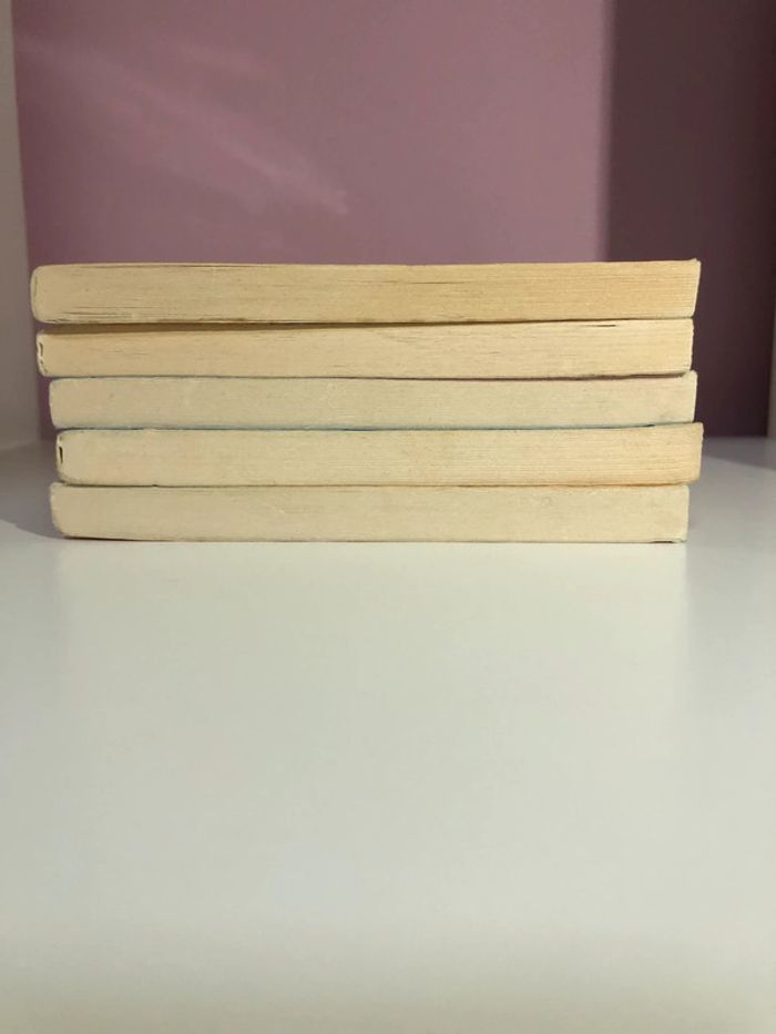 Lot de livres collection Les poneys magiques (tomes 1, 2, 3, 4, 8) - photo numéro 3