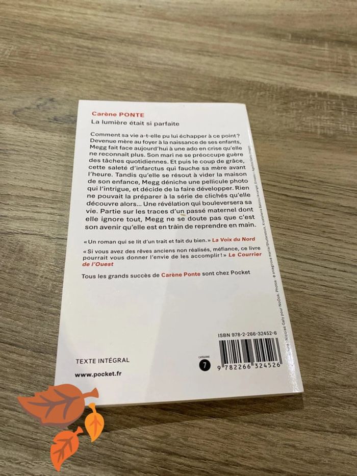 Carine Ponte - La lumière était si parfaite - photo numéro 2