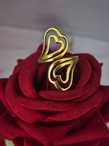 Bague double cœurs en acier inoxydable