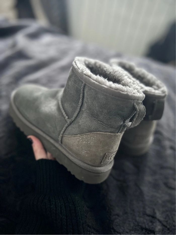 Ugg grise