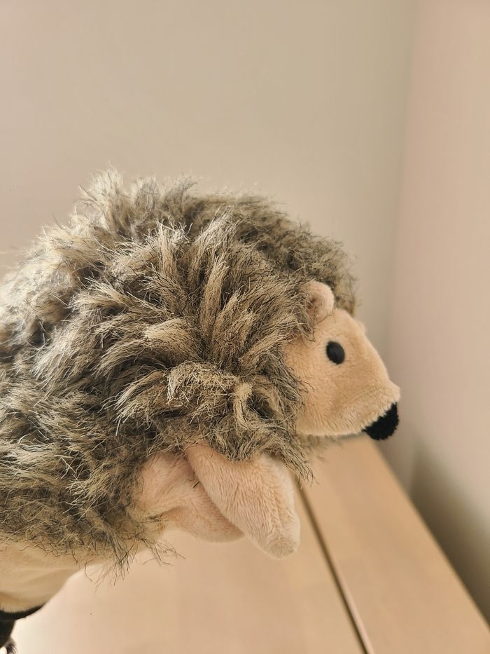 Hérisson - photo numéro 4