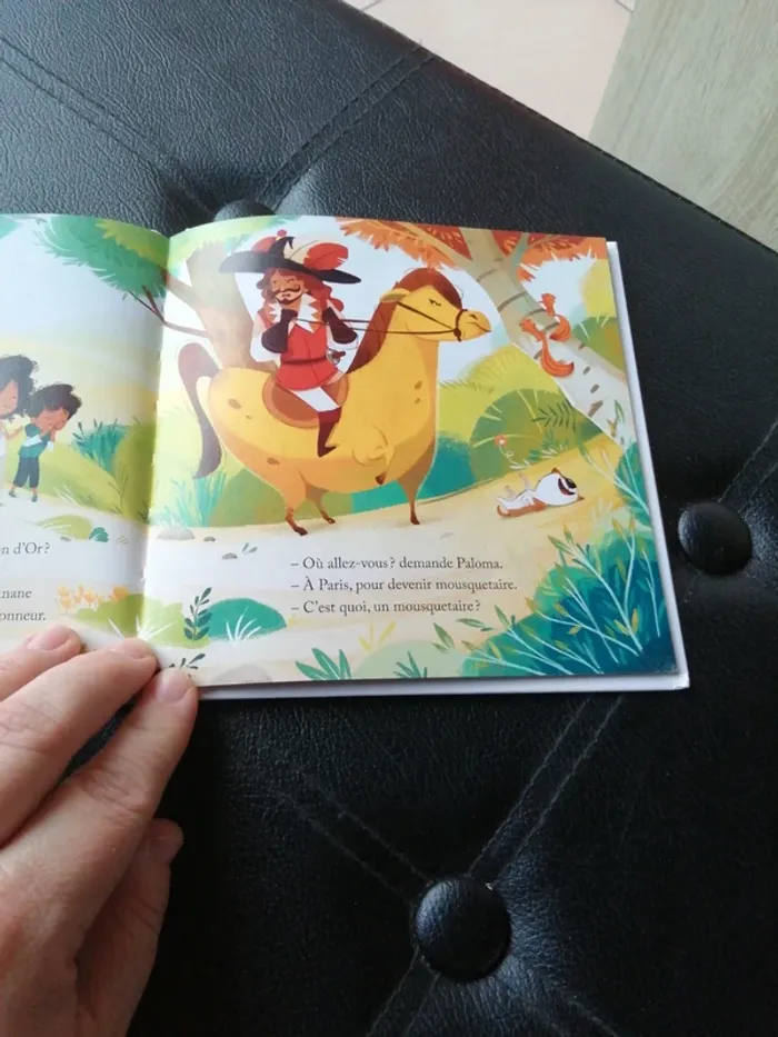 Une aventure avec D'Artagnan - photo numéro 2