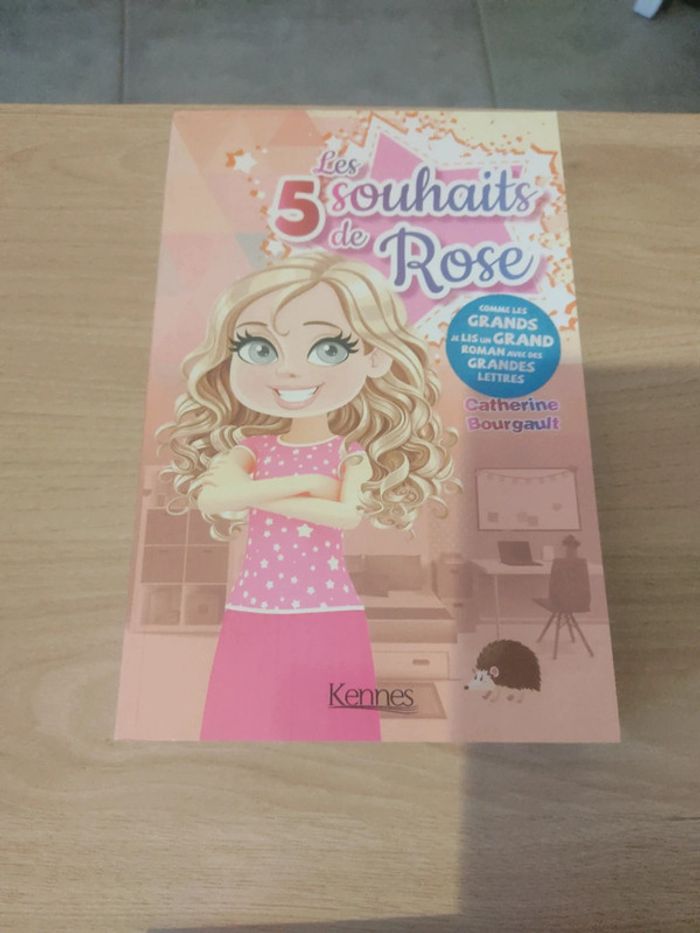 Romans grandes lettres - photo numéro 6