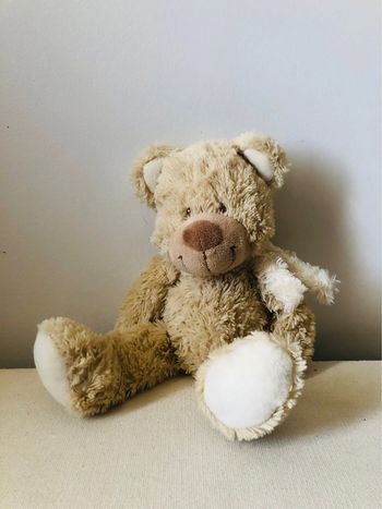 Ours en peluche doudou enfant neuf
