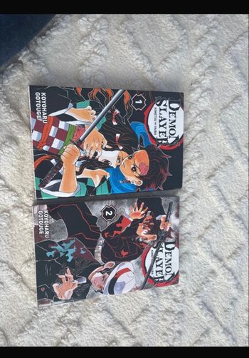 Manga démon slayer 