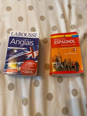 lot de deux dictionnaires espagnol et anglais