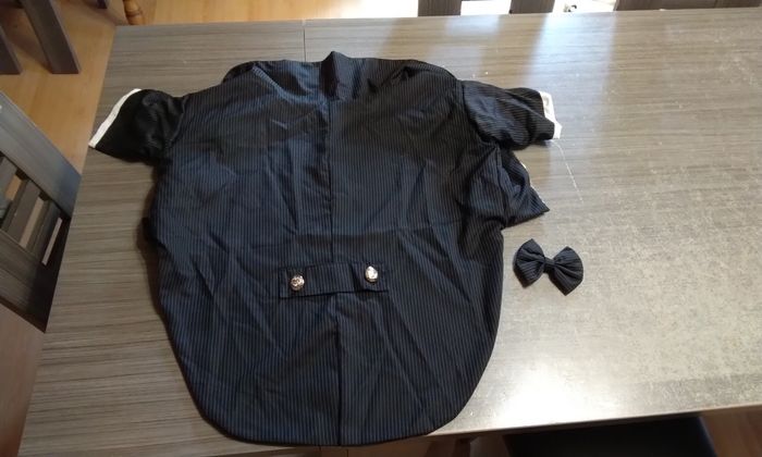 Costume chien - photo numéro 2