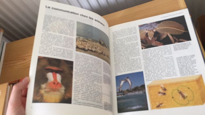Les techniques de communication - photo numéro 15