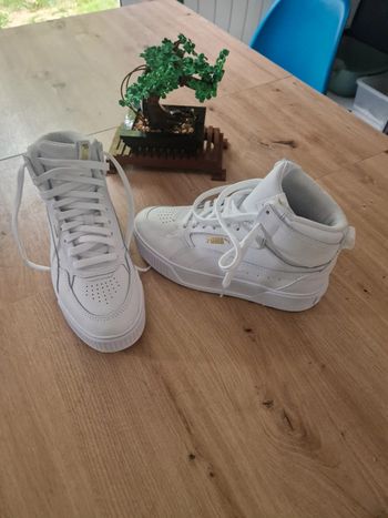 Puma neuve