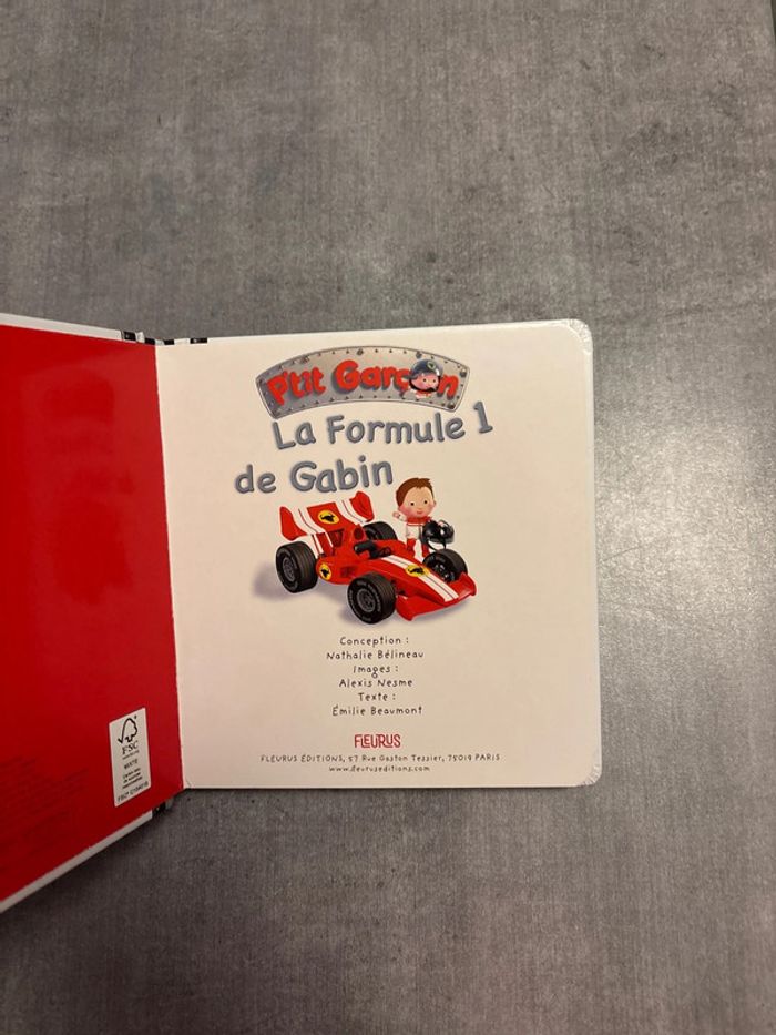 Livre, petit garçon, la Formule 1 de Gabin - photo numéro 2