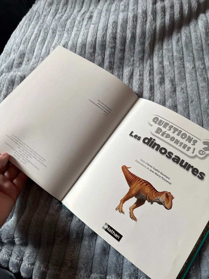 Les dinosaures - photo numéro 5