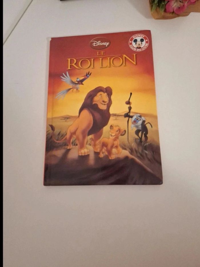 Livre Disney le roi lion très bon état - photo numéro 2