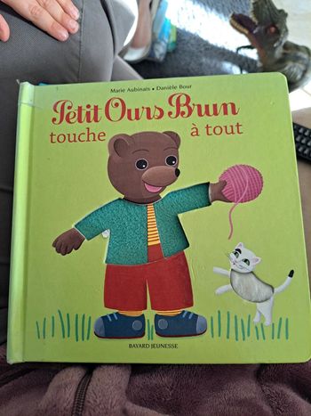 Livre petit ours brun