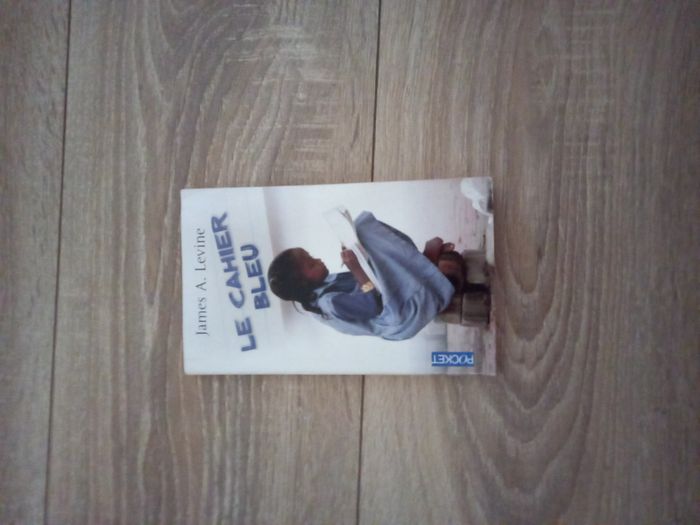 Livre "le cahier bleu" James A Lévine
