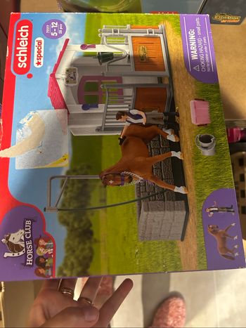 Schleich Box de lavage pour chevaux 72177