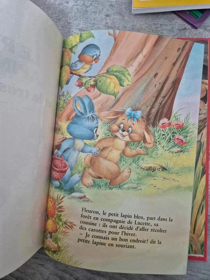 Livre - photo numéro 2