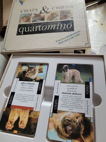 Quartamino chats et chiens